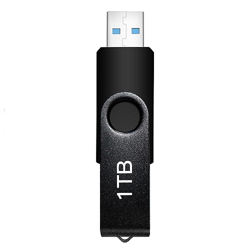 Memory Stick 1TB, Portable Thumb Drive 1TB with Keychain: USB Flash Ultra  Large Capacity High-Speed Terabyte