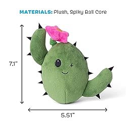 Barkbox 2-in-1 Interactive Plush Puzzle Dog Toys