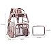 LOKASS Large Clear Backpack Transparent Multi-Pockets Backpacks/Outdoor Backpack Fit 15.6 Inch Laptop Safety Travel Rucksack with Rose Gold Trim-Adjustable Straps & Mesh Side(Rose Gold)