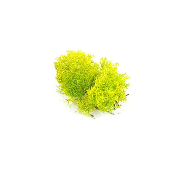 War World Scenics Lichen Flechte Modell Moos Laub Multipacks 3 x 20g (HellgrÃ¼n, DunkelgrÃ¼n, Braun) - Railway Wargame Tabletop GelÃ¤nde Landschaft Baum Busch Hecke Diorama Basing – Bild 7