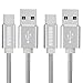 HOISAN USB C Cable 2-Pack 3ft Metal USB Type-C Charging Cord Fast Charge and Data Transfer for Samsung Galaxy S9 S8 Plus Note 8,LG V20 V30 G5 G6,Pixel XL,Nintendo Switch - Silver