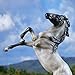 Breyer Freedom Series (Classics) American Dreams - Rearing Mustang | Model Horse Toy | 9