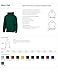 Sport-Tek Men's Pullover Hooded Sweatshirt
