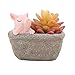 Youfui Pig Decor Pot Cute Piggy Succulent Planter Home Desk Office Fairy Garden Decoration Pig Gifts Ideal Gifts for Women, Mom or Birthday Christmas Pig Lovers Gift