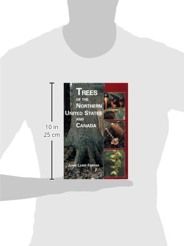 Trees of the Northern United States and Canada - Thumbnail 3