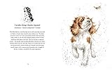 Image de A Dog's Life: A Celebration of Our Best Friend