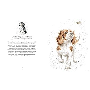 A Dog's Life: A Celebration of Our Best Friend