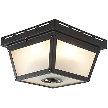 Amazon.com : Heathco SL-4305-BK-C Ceiling Light, Motion ...