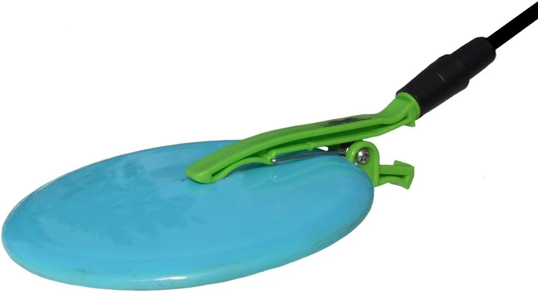 golden retriever disc golf