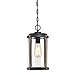 Westinghouse 6358900 Armin One-Light, Textured Black Finish with Barnwood Accents and Clear Seeded Glass OUTDOOR PENDANT,