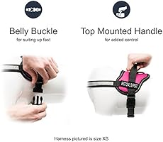 support dog vest amazon