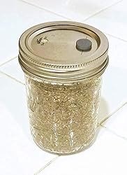 BRF PF Tek Brown Rice Flour Mushroom Substrate