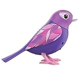 DigiBirds - Single Pack - Pluma