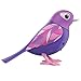 DigiBirds - Single Pack - Pluma