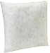 Amazon Basics Pillow Insert - 18-Inch Square, 2-Pack