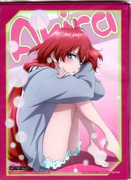 Amazon Co Jp サンライズクルセイド スリーブ ヴァルヴレイブ 連坊小路アキラ ホビー Amazon Co Jp サンライズクルセイド スリーブ ヴァルヴレイブ 連坊小路アキラ ホビー