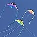 Prism Kite Technology 5ZENY Zenith 5 Single Line Delta Kite, Infrared