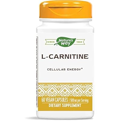 empty stomach l carnitine When To Take L Carnitine to Maximise Your Shredding and Beyond – BSc  Supplements