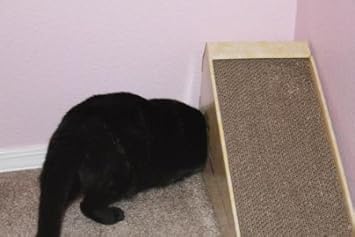 kong naturals incline scratcher cat toy