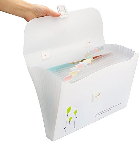 Shuter Expanding Accordion File Folder with Buckle and Tabs, 12 x 9 Inches Rigid Organizer, 12 Pockets (Green)