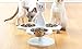 ETNA Multi Cat Raised Feeder