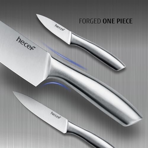 hecef Professional Kitchen Knives Set, All Stainless Steel Silver, Chef's Knife, 5 Pieces Kitchen Knife and 5 Pieces Knife Liners
