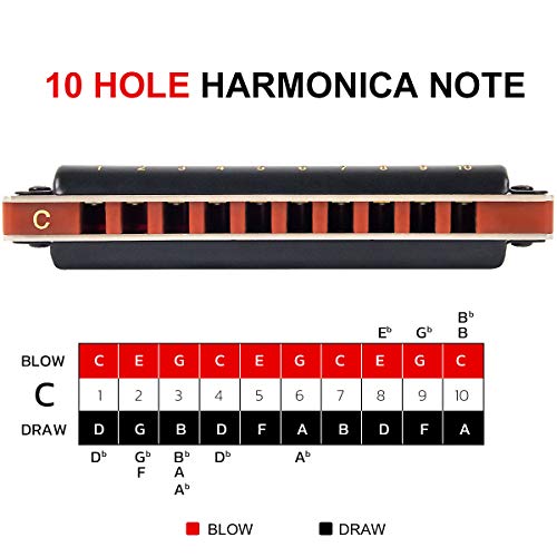 Aklot Blues Harmonica 10 Hole Diatonic Harp Key of C Blues Harp 20