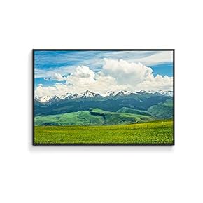 Framed Canvas Wall Art for Living Room, Bedroom Plain Canvas Prints for Home Decoration Ready to Hang - 16x24 inches