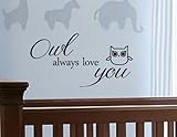 Newsee Decals Owl always love you Vinyl wall art Inspirational quotes and saying home decor decal sticker