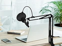 Amazon Basics Heavy-Duty Microphone Desk Arm Stand