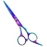Professional Hair Cutting Shears, 6.5 Inch Hair