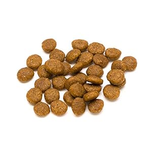 Marchio Amazon- Lifelong Complete - Alimento secco completo per gatti adulti con salmone e riso, 1 x 10 kg