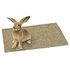 Kerbl-Hemp-Rodent-Mat-40-x-100-x-1-cm Kerbl Hemp Rabbit Mat, 40 x 100 x 1 cm,brown