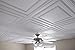 Ceilume 10 pc Stratford Ultra-Thin Feather-Light 2x2 Lay in Ceiling Tiles - for Use in 1