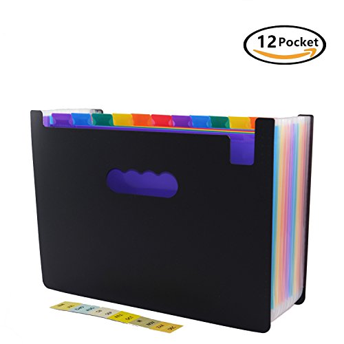 12 Pockets Expanding File Folder with Labels,A4 Size Colorful file organizer Portable Desktop Business Paper Document Holder Wallet for Home Office School Hospita (12 pocket)