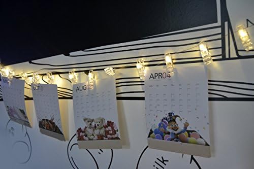 Grand Direct Led Photo Clip Lights,20 Count Led Ligths,Battery Operated,Warm White