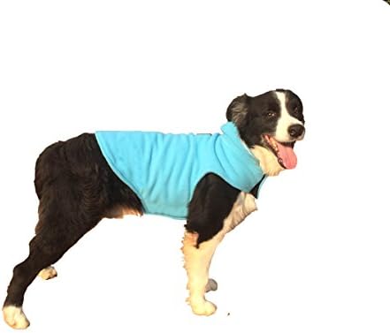 GoLoveFun Winter Dog Coat Reflective with Leash Hole for Small Medium Large Pets(Blue,M)