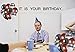 YNOUU Dwight Birthday Banner Set Decorations - Black, Silver Balloons, White Crepe Streamers, Banner, 4 Count
