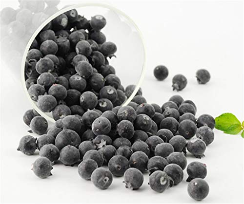 image for Skyseen 50 Pcs Fake Fruit Blueberries Simulation Artificial Lifelike B