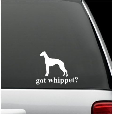 got whippet? White Decal Sticker Dog Bumper Laptop Car White Decal Sticker 5" X 6"
