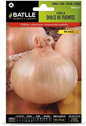 SEMILLAS CEBOLLA DULCE DE FUENTES: Amazon.es: Jardín
