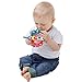 Playgro 4082426 Explor-a-ball STEM Toy for Baby Infant Toddler