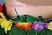 KEFAN Leaf Hula Skirt and Hawaiian Leis Set Grass Skirt with Artificial Hibiscus Flowers for Hula Costume Party (A)