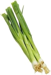 Organic Onion Bulb