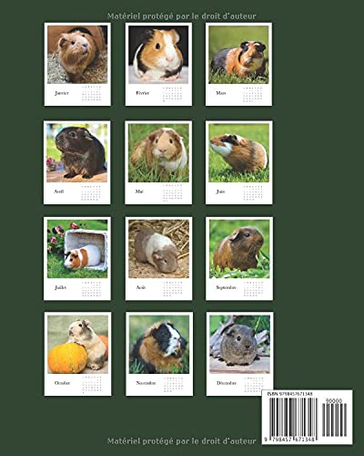 Calendrier 2023 Cochon Amazon.com: Cochon D'inde Calendrier 2022: Calendrier Mensuel 2022 Avec Des  Images De Magnifiques Cochons D'inde (French Edition): 9798457671348:  Calendrier, Bella Adeline: Books