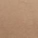 Berkshire Women's Plus-Size Queen Silky Sheer Control Top Pantyhose - Reinforced Toe, Natural Tan, 3X-4X