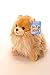 Gund Boo & Buddy Plush Stuffed Dog Toy Cutest Dog in the World (Buddy)