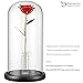 DEFAITH Crystal Vase Stand for Gold Rose, Fresh-Cut Rose Flowers Decorative Centerpiece for Home or Table 1.18