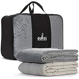 Cohzi Weighted Blanket Adult 20 pounds - Quilted Blanket 2 Piece Set Heavy Blanket in Cotton and Soft Velvet Weighted Blanket Cover Machine Washable for Calming Anxiety Sleep Queen Size 60 x 80