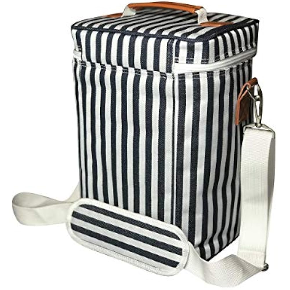 DS Picnic Insulated Wine Tote Bag Bottle Carrier 4 Capacity Cooler For